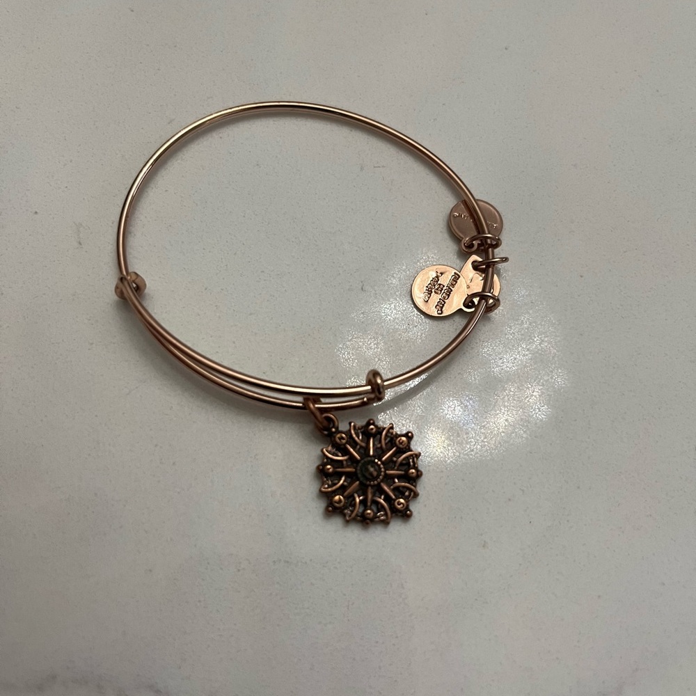 Alex and ani compass bracelet